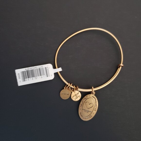 Alex and Ani "Because I Love You" Bracelet   670 - Picture 3 of 3
